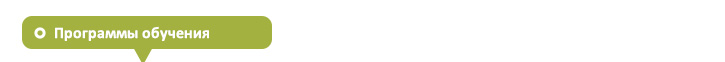 Программы обучения