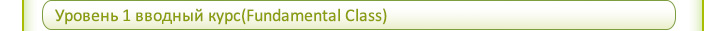 Уровень 1 вводный курс(Fundamental Class) 